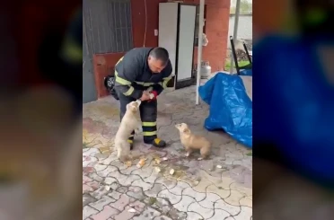 Niğde’de baraj taşkınında mahsur kalan 2 yavru köpek itfaiye ekiplerince kurtarıldı 