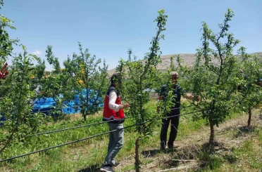 Niğde’de dolu ve sağanak tarım arazilerine zarar verdi 