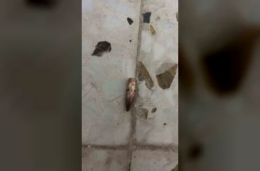 Nusaybin’de yorgun mermiler ev, araç ve iş yerlerine isabet etti 