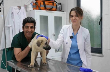 Ödüllü Hayvan Bakım Merkezi can dostlara umut oluyor 