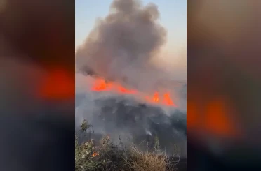 Oğuzeli’nde buğday tarlasında yangın 