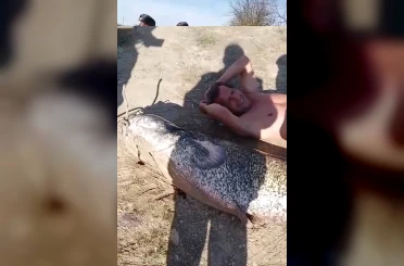 Oltaya 78 kiloluk dev balık takıldı: Yanına yatınca boy farkına şok oldu 