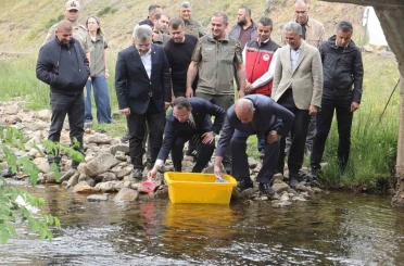 Ordu’da 35 bin doğal alabalık dereye bırakıldı 
