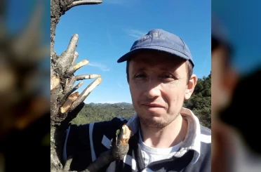 Ordu’da ağaç keserken düşen kişi hayatını kaybetti 