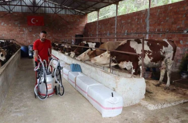 Ordu’da sütün değeri artıyor 
