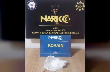 Ordu’da uyuşturucu operasyonlarında 2 tutuklama 