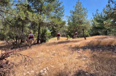 Orman yangınlarına karşı jandarmadan denetim 
