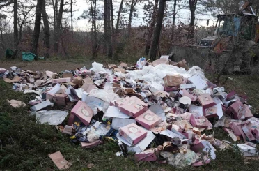 Ormanı çöplüğü çevirmişler 