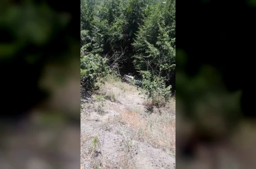 Ormanlık alana uçan otomobildeki 3 kişi yaralandı 