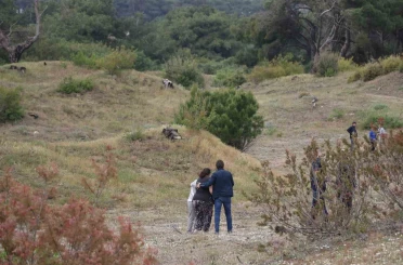 Ormanlık alanda bir kişinin cansız bedeni bulundu 