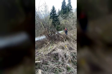 Ormanlık alanda çıkan yangın büyümeden söndürüldü 