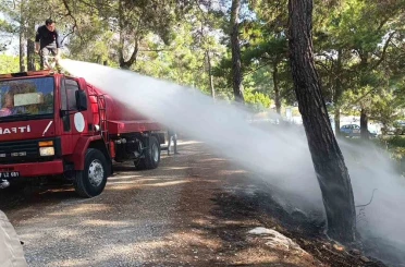 Ormanlık alanda çıkan yangını vatandaşlar söndürdü 