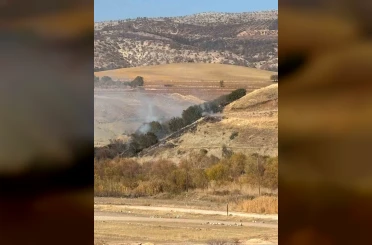 Ormanlık alanda korkutan yangın 