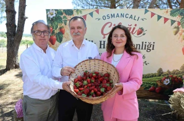 Osmancalı Çileği’nin ilk hasadı şenlikle yapıldı 