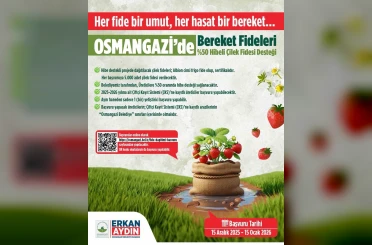 Osmangazi Belediyesi yüzde 50 hibeli çilek fidesi dağıtacak 