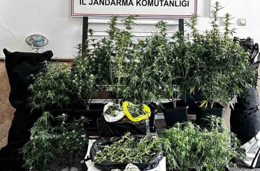 Osmangazi’de uyuşturucu operasyonu: 1 şüpheli tutuklandı