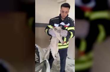 Osmaniye’de araç motoruna sıkışan kedi kurtarıldı 