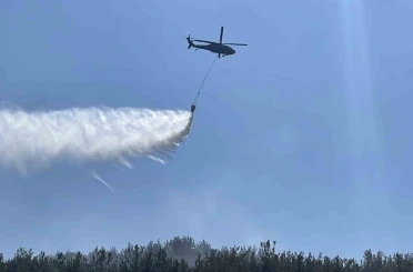 Osmaniye’de çalılık alanda başlayan yangın ormana sıçradı 