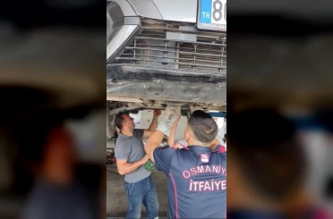 Osmaniye’de otomobilin motoruna sıkışan yavru kedi kurtarıldı 