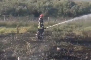 Osmaniye’de tankerin lastiklerinden çıkan yangın zeytin bahçesine sıçradı 