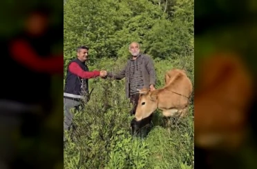 Osmaniye’de uçuruma düşen düve 5 saatlik operasyonla kurtarıldı 