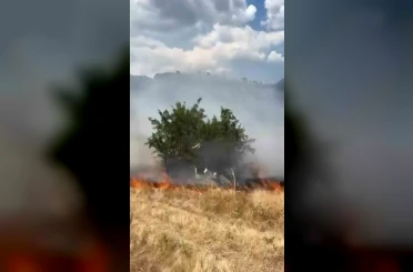 Ot yangını büyümeden söndürüldü 