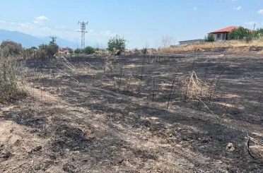 Otluk alanda çıkan yangın büyümeden söndürüldü