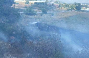 Otluk alanda çıkan yangın seralara sıçramadan söndürüldü 