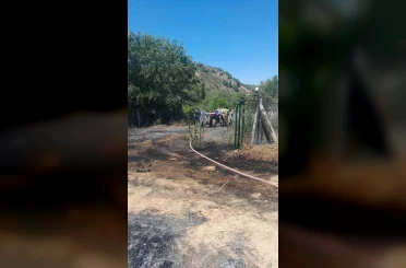 Otluk alandaki yangın ormana sıçramadan söndürüldü 