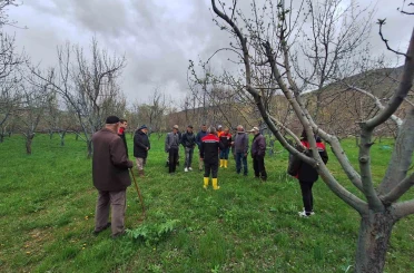 Otlukbeli’nde üreticilere meyve ağaçlarında budama eğitimi 