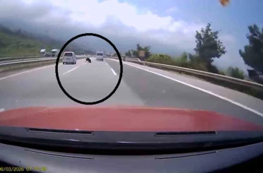 Otobanda yola fırlayan angus korku dolu anlar yaşattı 