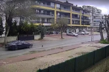 Otomobilin çarpmasıyla ölen kedinin yavrusu başından ayrılmadı