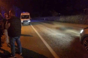 Otomobilin çarptığı yaşlı adam hayatını kaybetti 