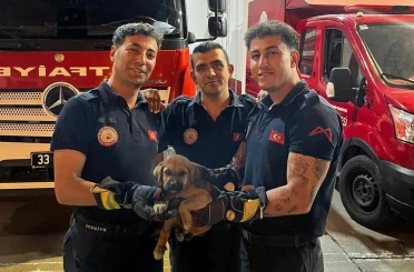 Otomobilin motoruna sıkışan yavru köpeği itfaiye kurtardı 