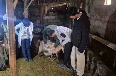 Özalp’te çiftçilere yönelik eğitim seferberliği başlatıldı 