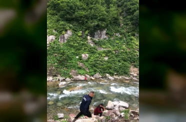 Papağanını kurtardı, kendisi mahsur kaldı 