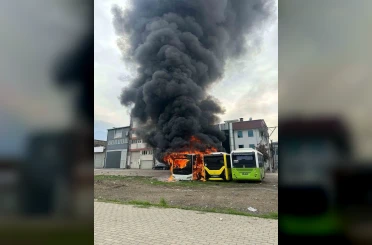 Park halindeki otobüsler cayır cayır yandı 