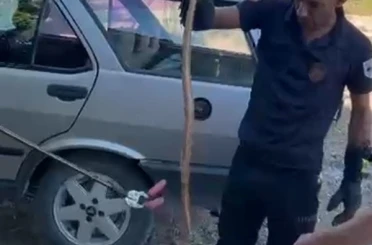 Park halindeki otomobile giren yılan paniğe neden oldu 
