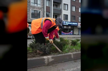 Park ve yeşil alanlarda peyzaj çalışmaları sürüyor 