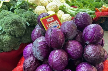 Pazarda tanesi 80 lira; çiftçiden 5 liradan almak istediler 