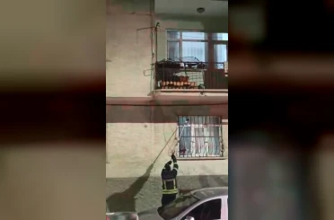 Pencere korkuluğundaki yılan ekiplerce yakalandı 