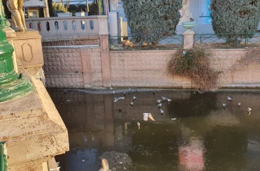 Porsuk’un donduğunun resmidir 