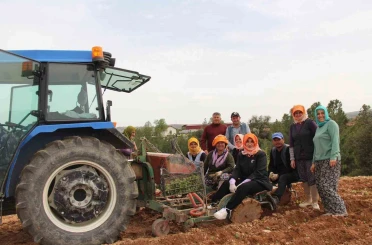 Poşusunu takan Kaymakam Kuran üreticilerle birlikte kekik dikti 