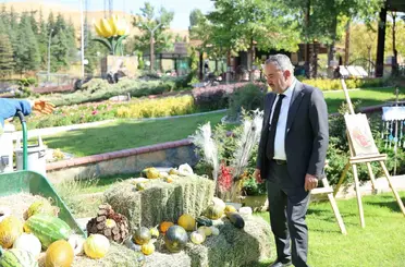Pursaklar’da bulunan Ata Bahçesi’nde yetiştirilen sebzeler ve meyveler hasat edildi
