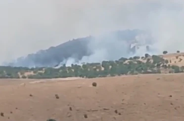 Pütürge’de orman ve örtü yangını 
