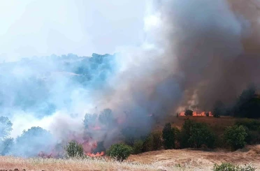Pütürge’de orman ve örtü yangınına havadan müdahale 