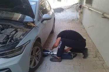 Reyhanlı ve Defne’de mahsur kalan kediler kurtarıldı
