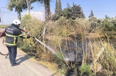 Reyhanlı’da zeytinlik alandan alevler yükseldi 
