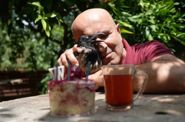 Rize çayı içen gurme kargaya özel doğum günü partisi 