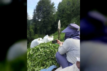 Rize’de çay bahçesinde milli maç heyecanı 